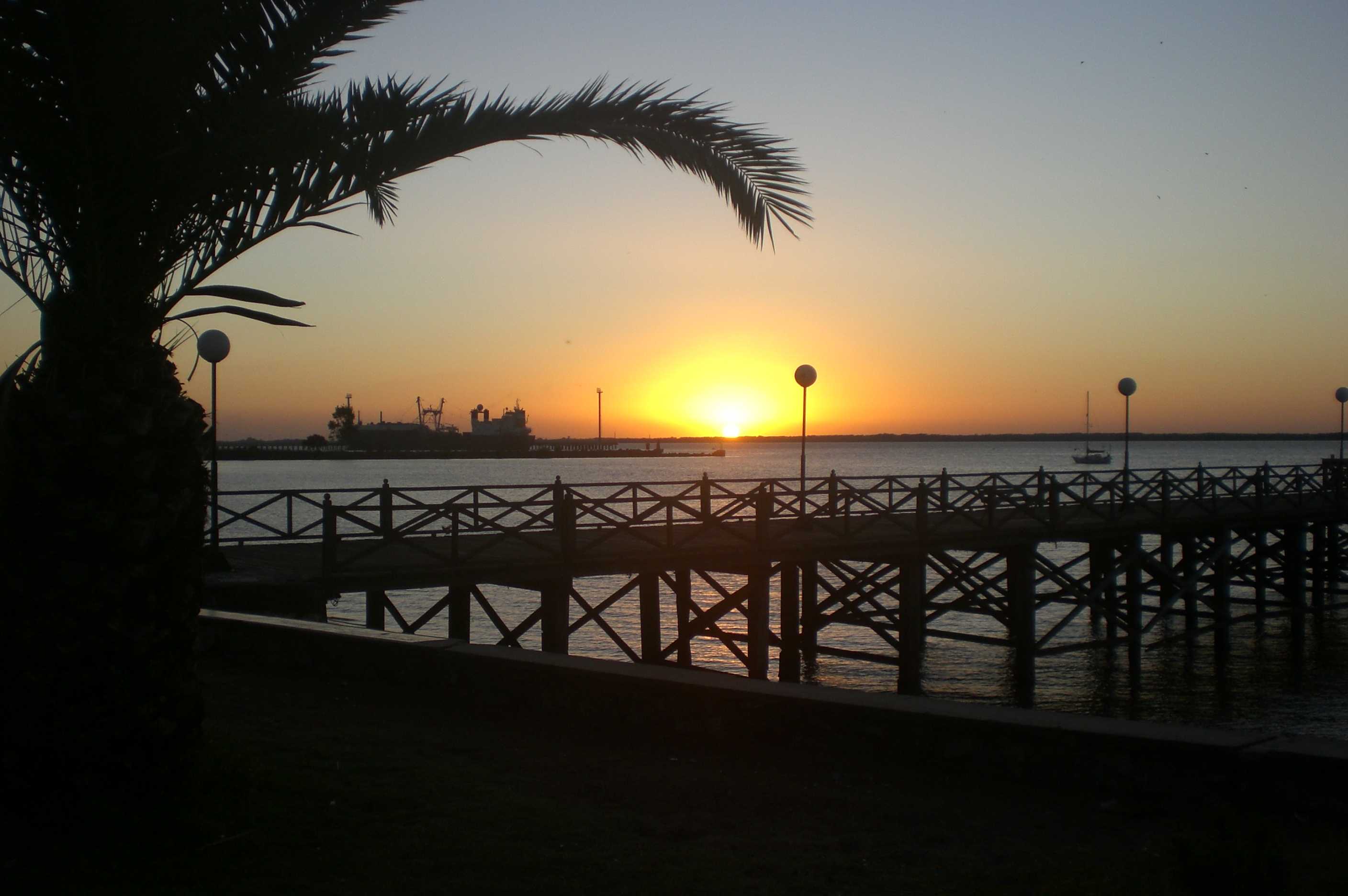 Silhouette of a palm tree and pier over water at sunset, with a ship and sailboat on the horizon; warm orange and yellow tones